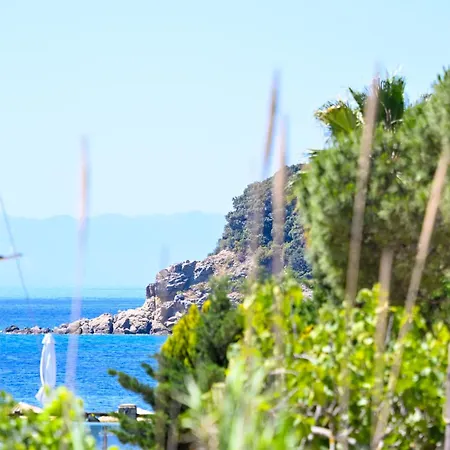 Anchor Daire Troulos