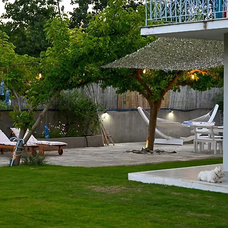 Anchor * トロウロス