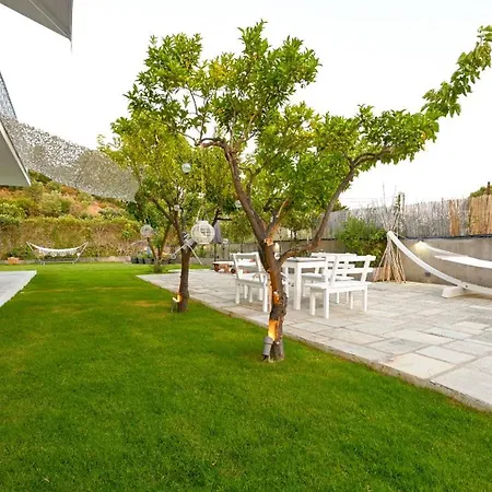 Daire Anchor Troulos