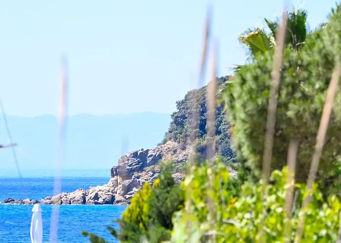 Anchor شقة ترولو